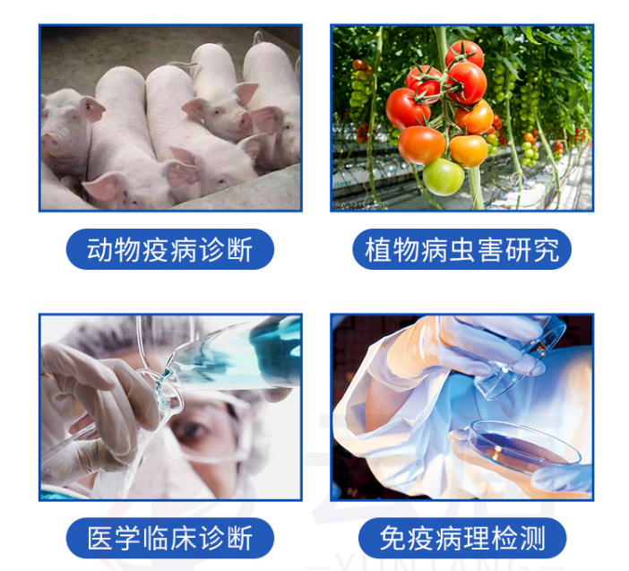 动物疫病检测仪的检测范围有哪些？