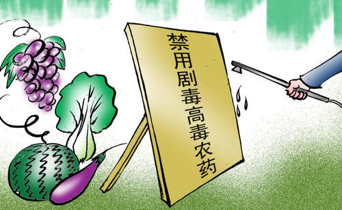 农药残留检测仪怎么发挥其优良性能？