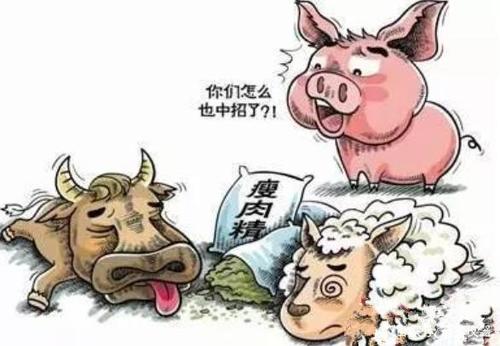 兽药残留检测仪如何检测？
