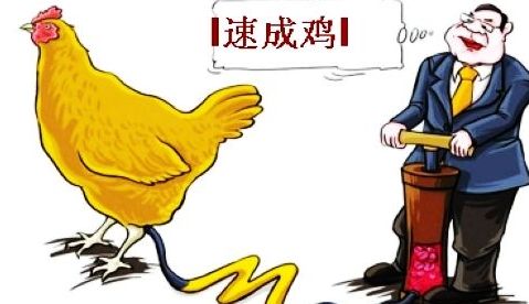 为什么会有兽药残留？