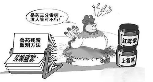 兽药残留超标新闻依然不断，3种兽药再次被禁止使用于动物中