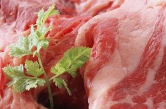 购买食品安全速测仪时，需要注意哪两点？